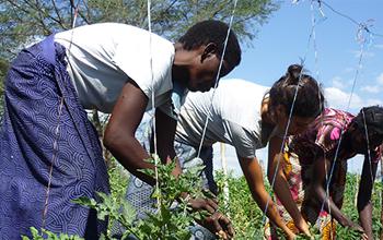 Agriculteurs solidaires : un engagement fort